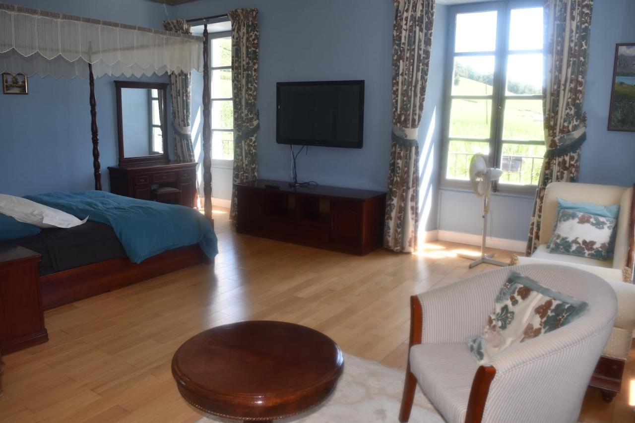 Chateau Roquehort Avec Ev Recharge Point 22Kw Monein Dış mekan fotoğraf