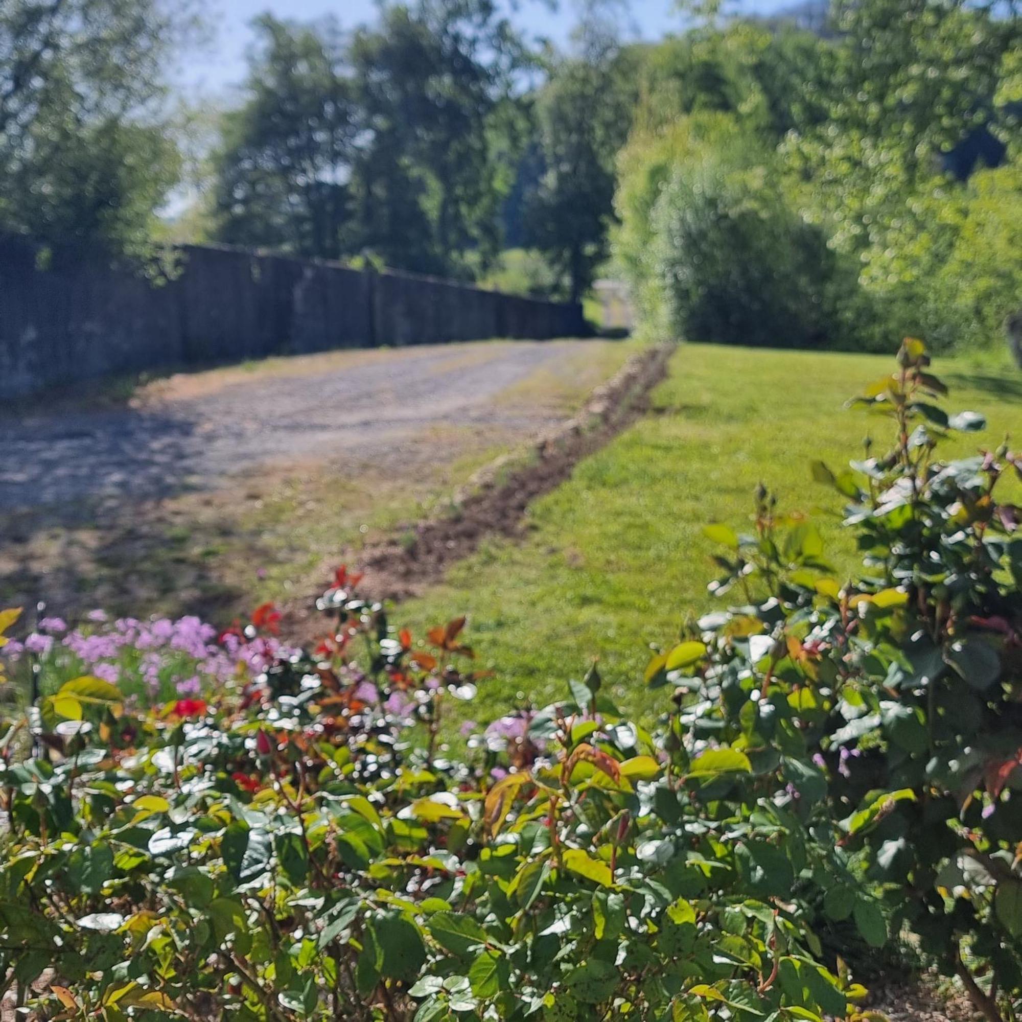 Chateau Roquehort Avec Ev Recharge Point 22Kw Monein Dış mekan fotoğraf