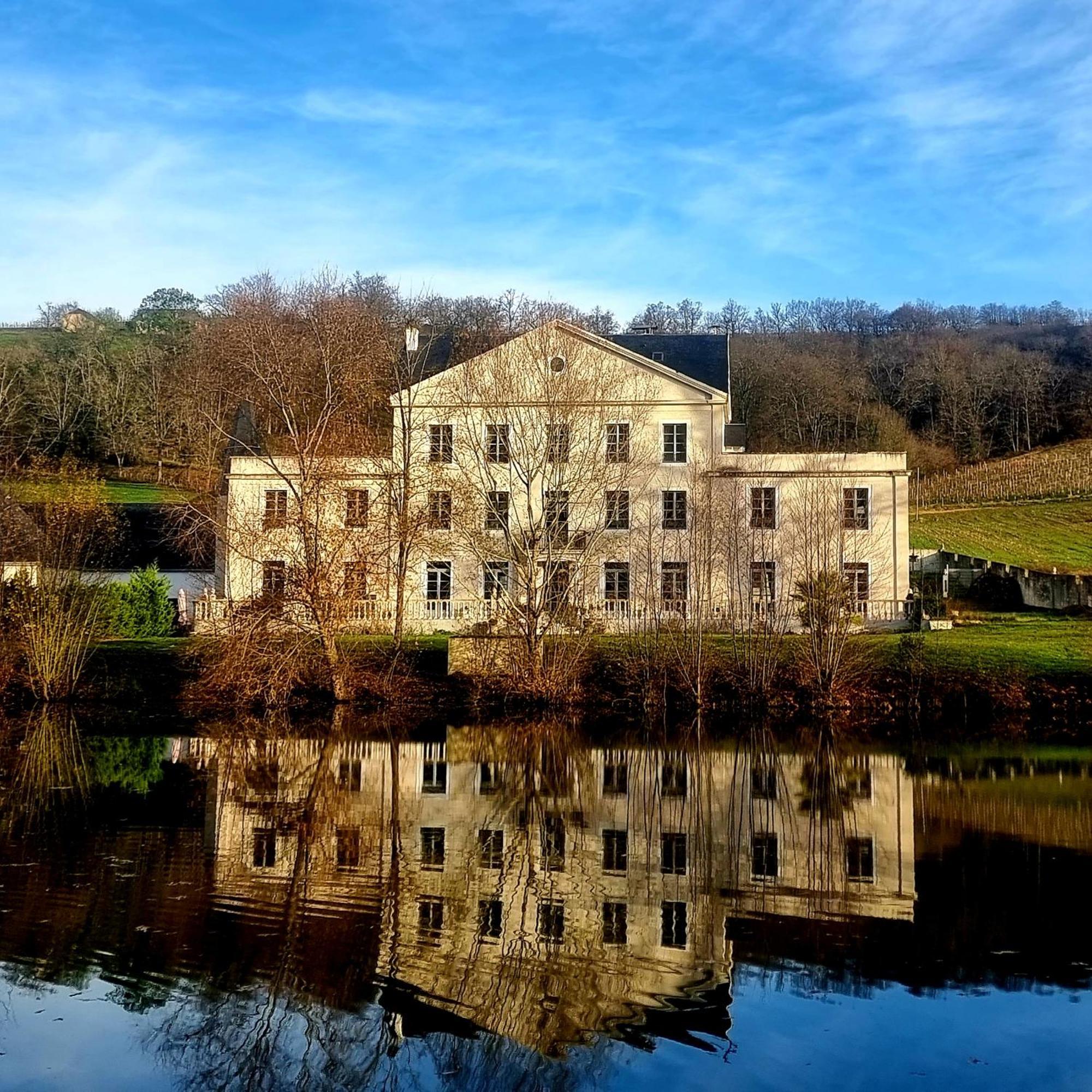 Chateau Roquehort Avec Ev Recharge Point 22Kw Monein Dış mekan fotoğraf